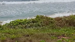4 Plots Direct Beachfront