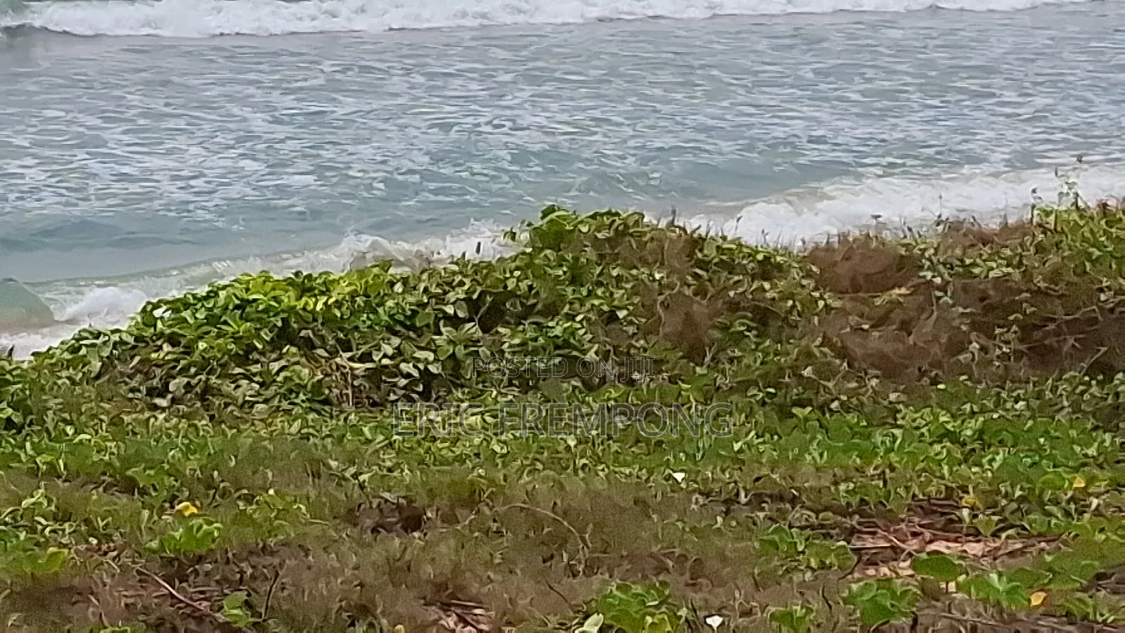 4 Plots Direct Beachfront