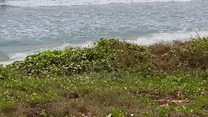 4 Plots Direct Beachfront