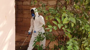 For All Insects and Reptiles Fumigation