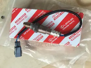 Oxygen Sensors