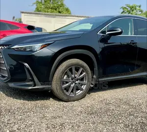 Lexus NX 2023 Black
