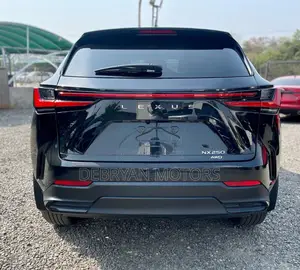 Lexus NX 2023 Black