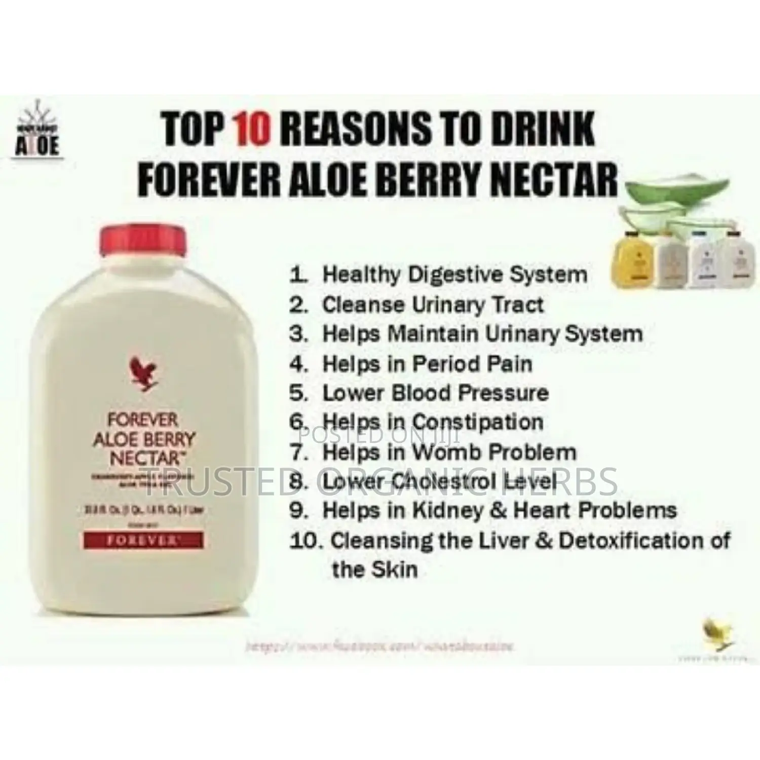 Detoxify Liver, Kidney Colons - Forever Berry Nectar