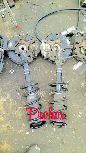 Toyota Probox Absorbers