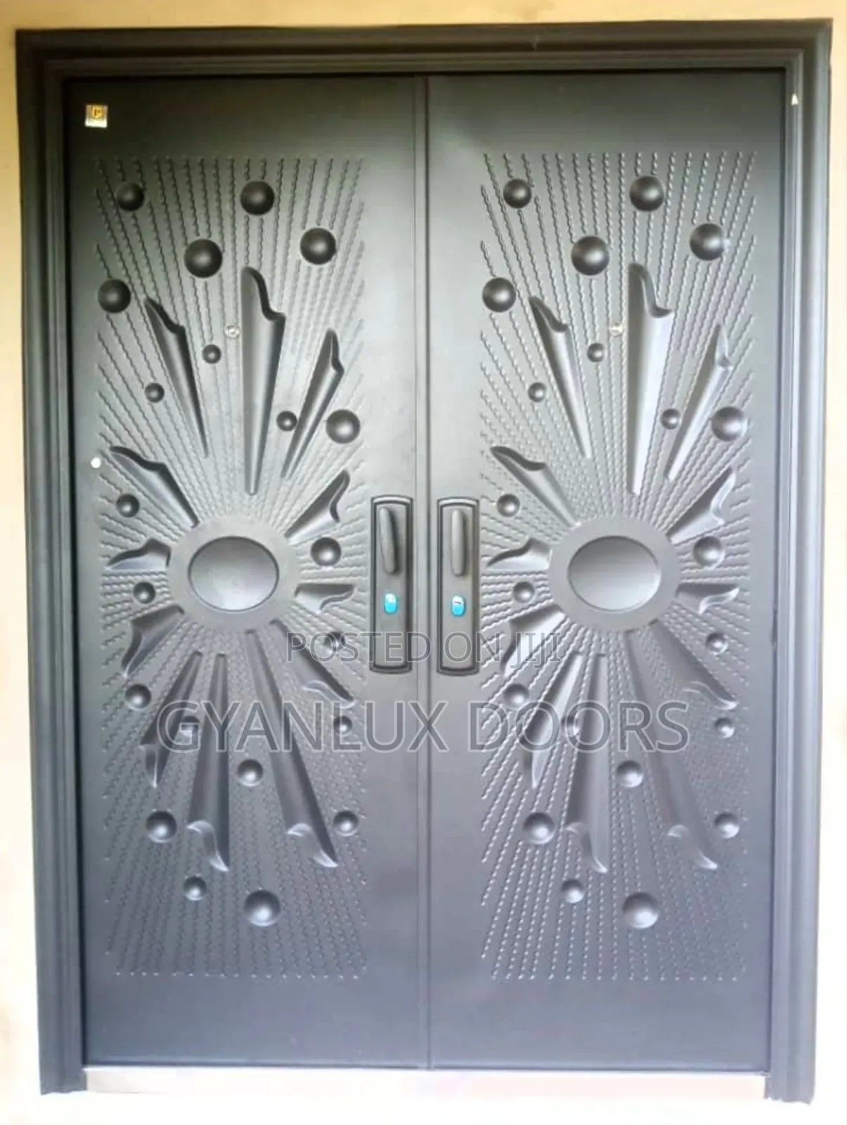 Black Security Door Double