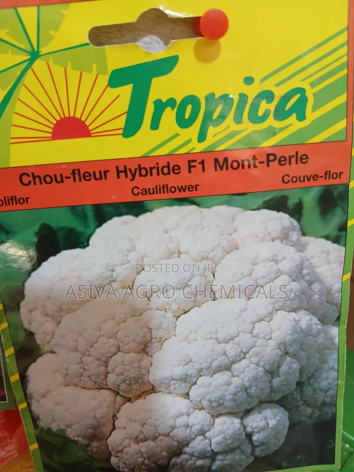 Vegetable Seeds