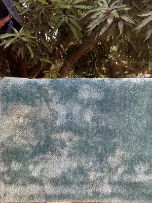 Center Rugs.