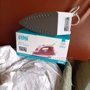 Winning Star Steam Iron (St-5003)