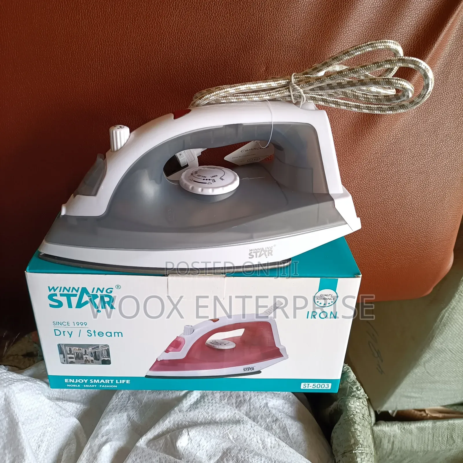 Winning Star Steam Iron (St-5003)