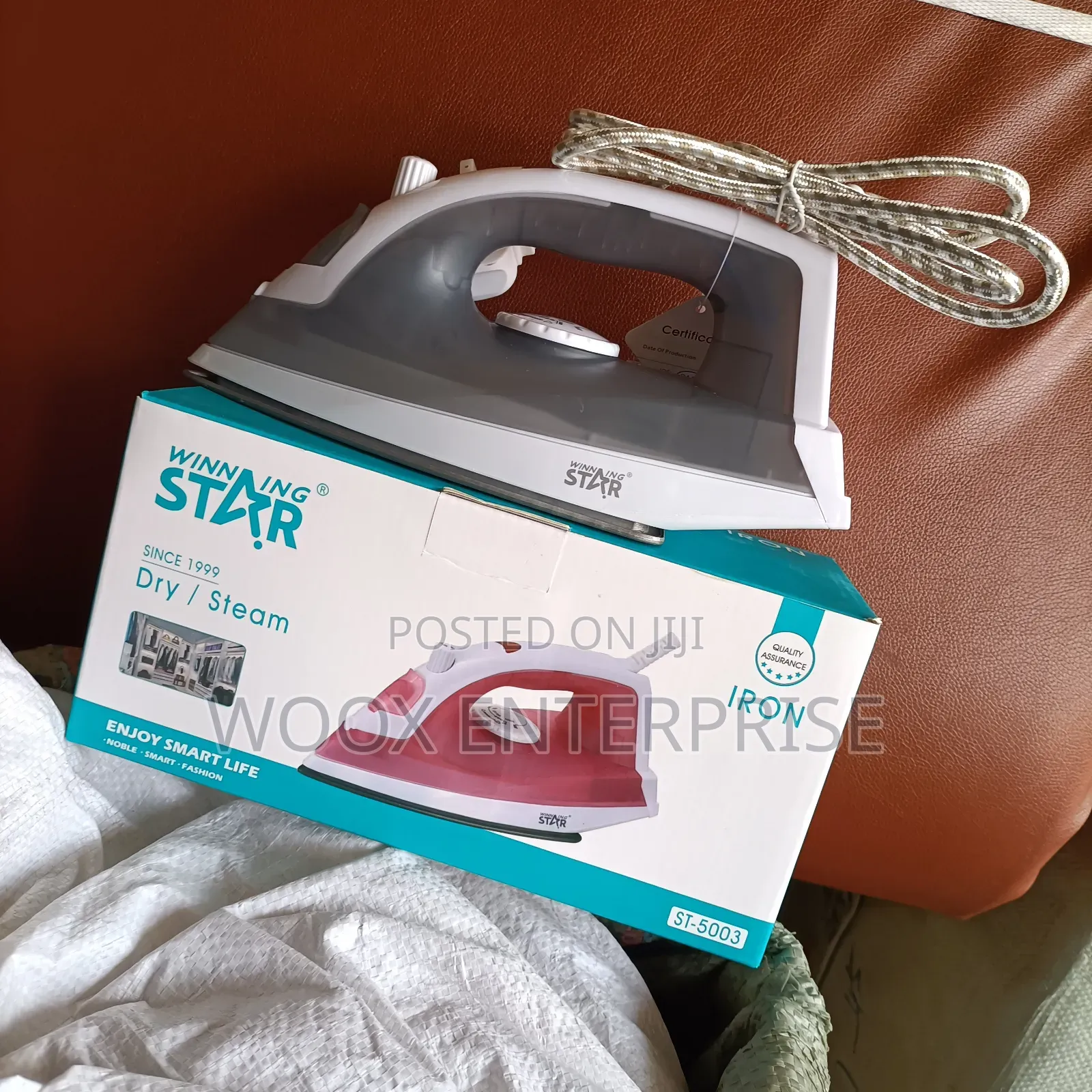Winning Star Steam Iron (St-5003)