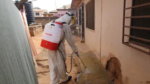 Clear Fumigation Service With Cleantex