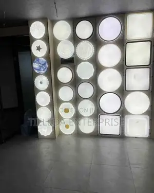 (223) Size 400mm Ceiling Light 3 Color