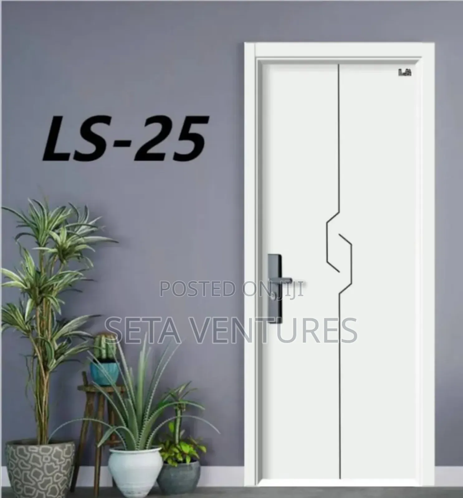 Special Wooden Door