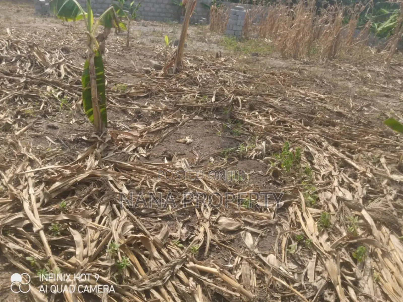 Fifty Acres of Land for Sale Located at Oyibi Bawaleshie