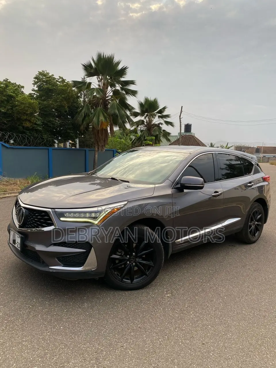 Acura RDX Advance Pkg AWD 2019 Gray