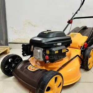 Gasoline Lawn Mower