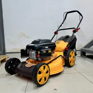 Photo - Gasoline Lawn Mower