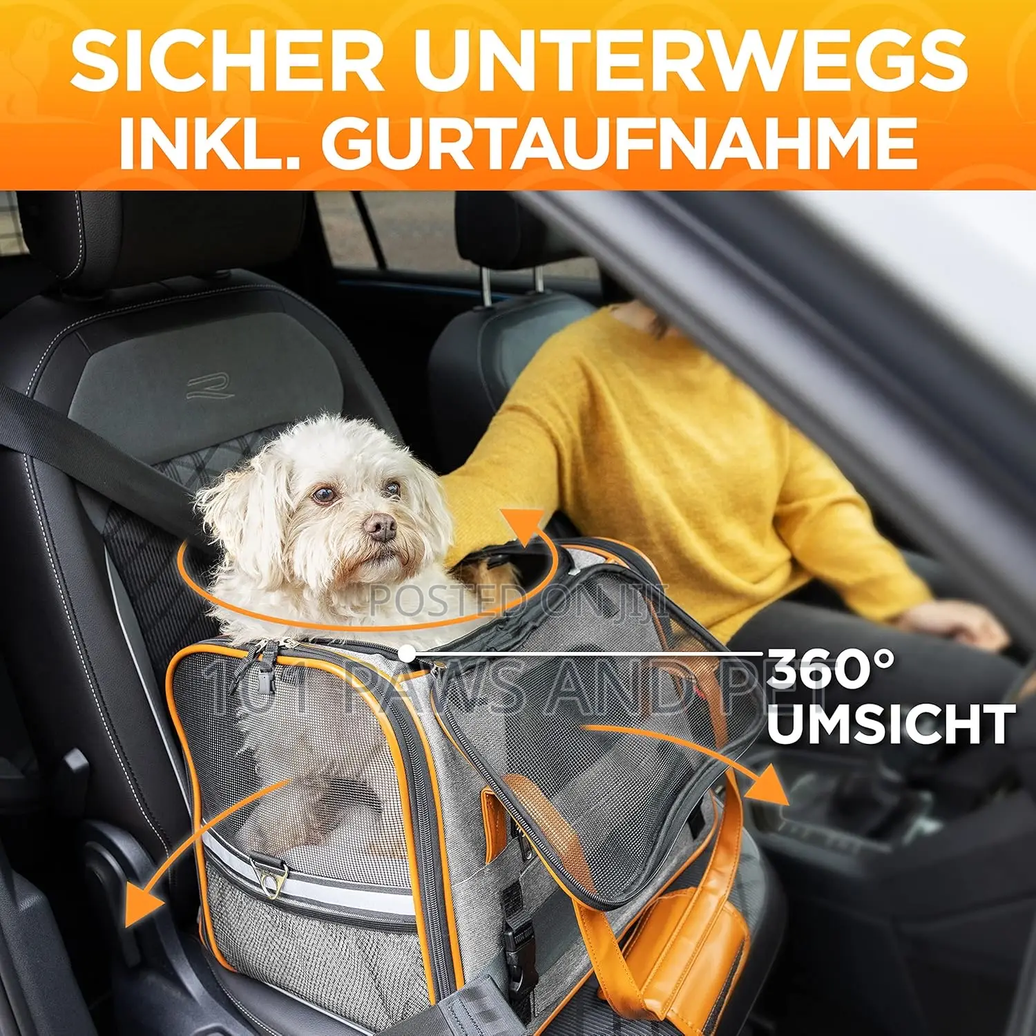 Hompet Pet Carrier