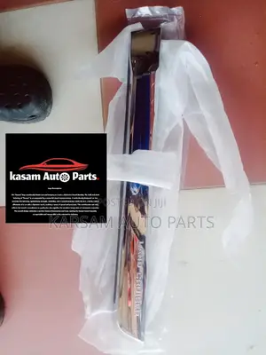Door Moulding Landcruise and Landcruise Prado