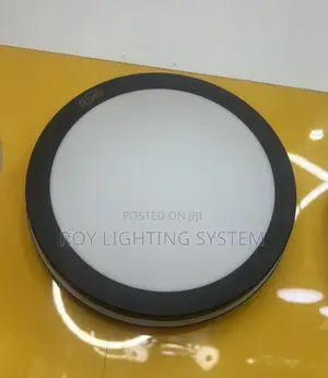 30w Ip65 Black Body