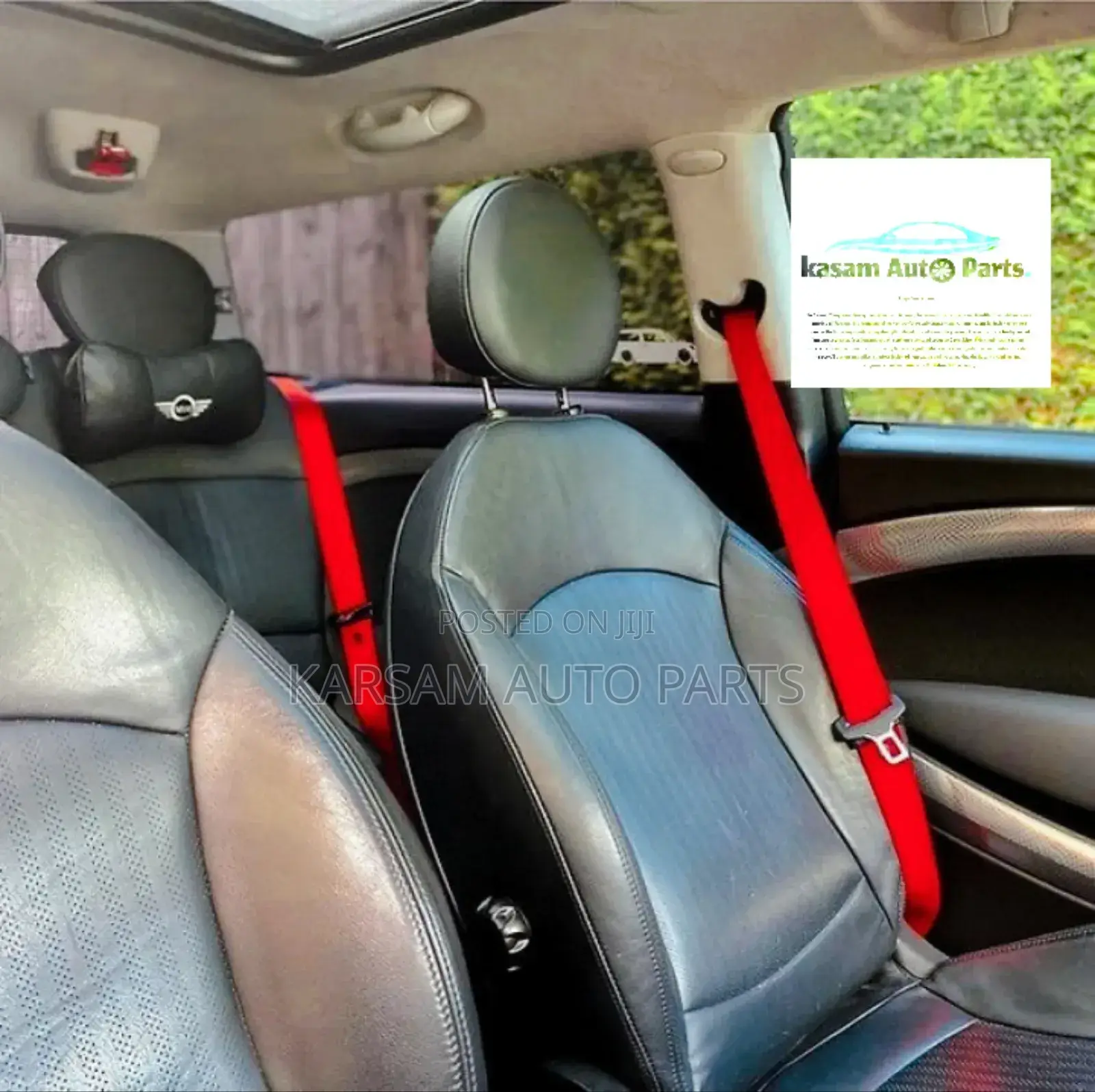 Seat Belt With Different Colours