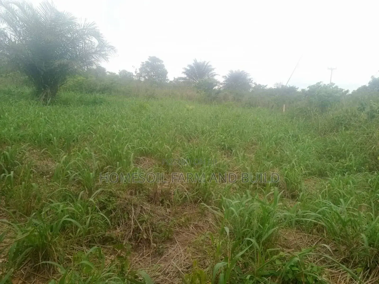 10 Acres of Farmland at Gomoa Odumase for Lease