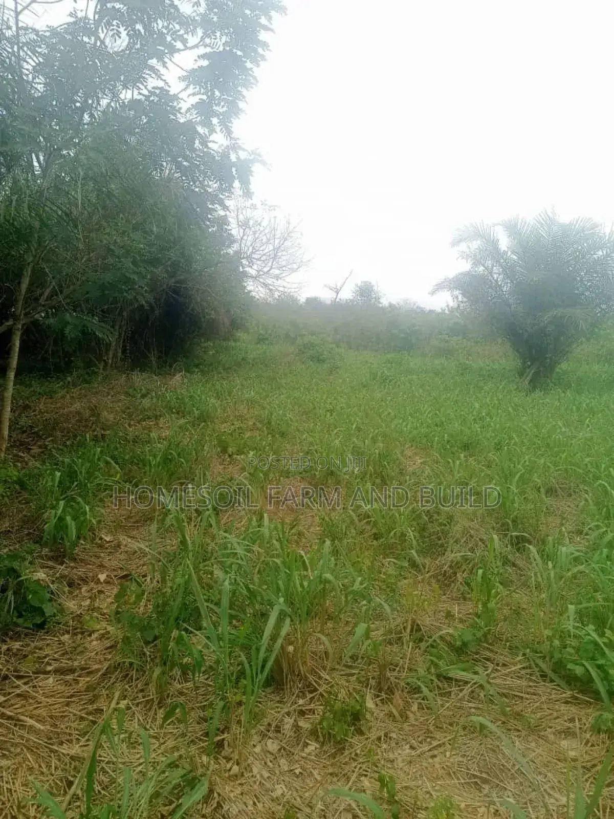 10 Acres of Farmland at Gomoa Odumase for Lease