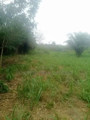 10 Acres of Farmland at Gomoa Odumase for Lease