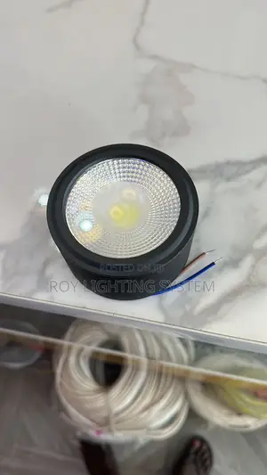 Surface Mounted Light