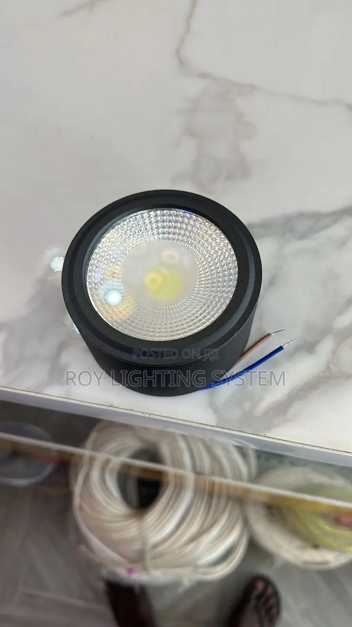 Surface Mounted Light