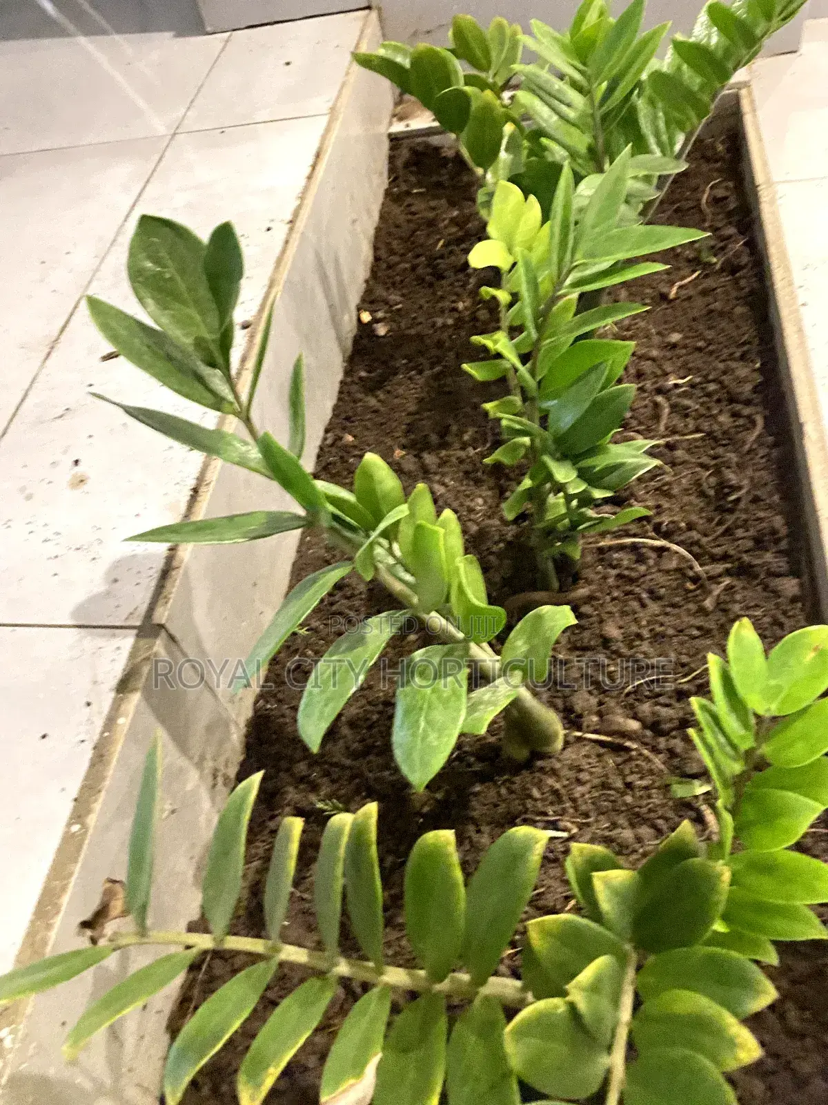 Landscaping and Garden Services
