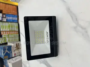 30w Flood Light