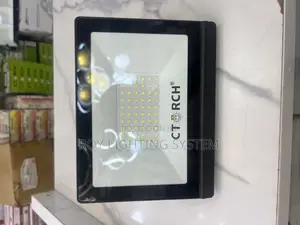 50w Flood Light
