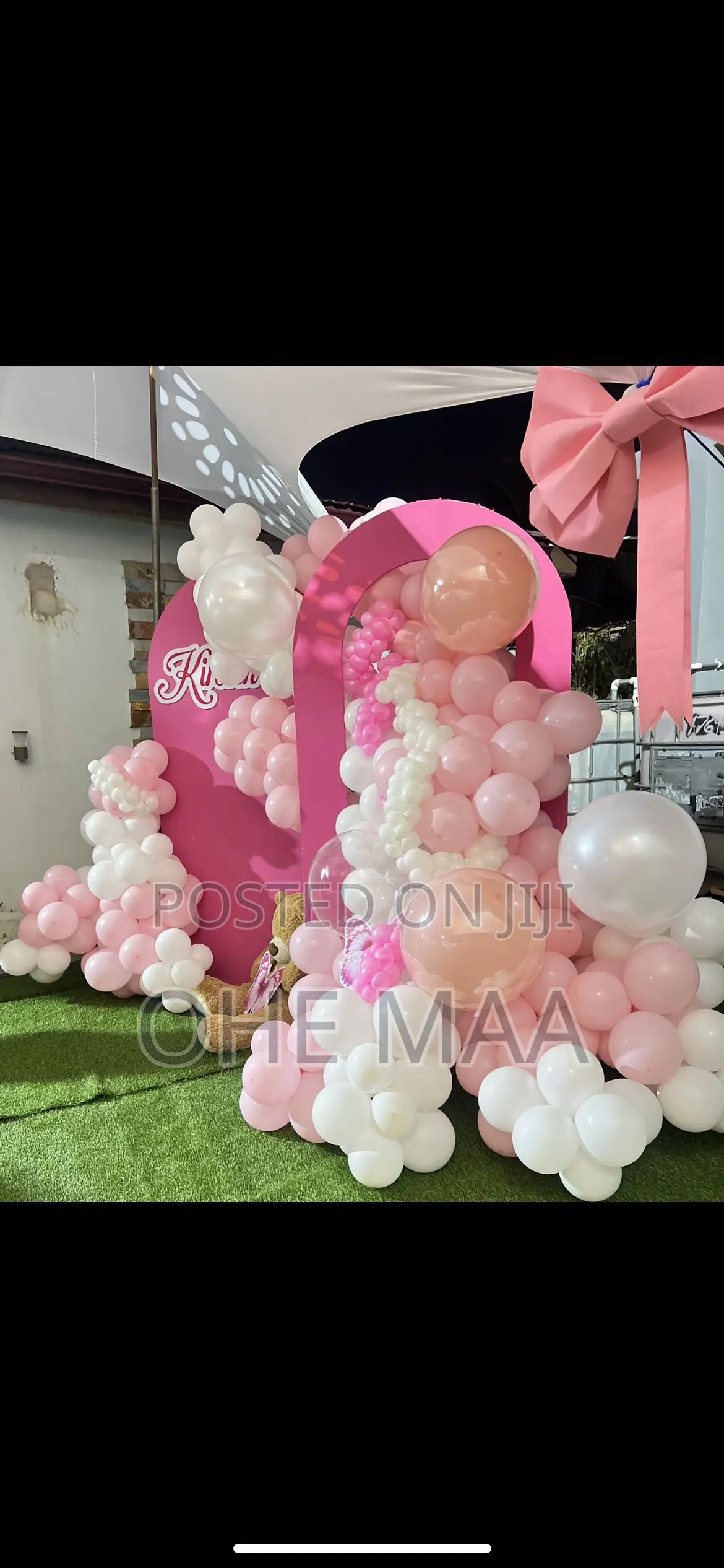 Balloon Decor and Artistry