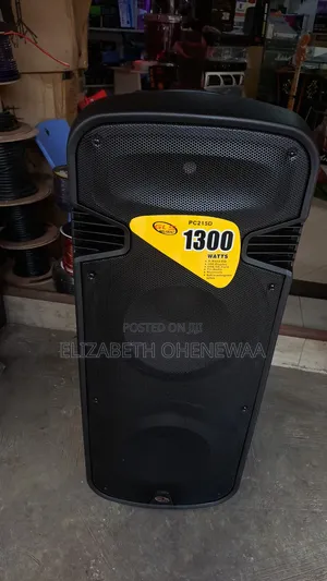 Dual Rechargeable Speaker