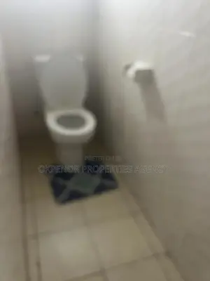 Furnished 3bdrm House in Osu, Accra Metropolitan for rent