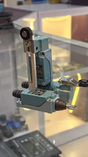 Straight Roller Limit Switches