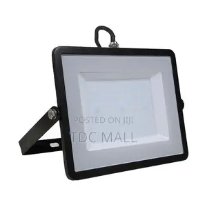Flood Light - 100w