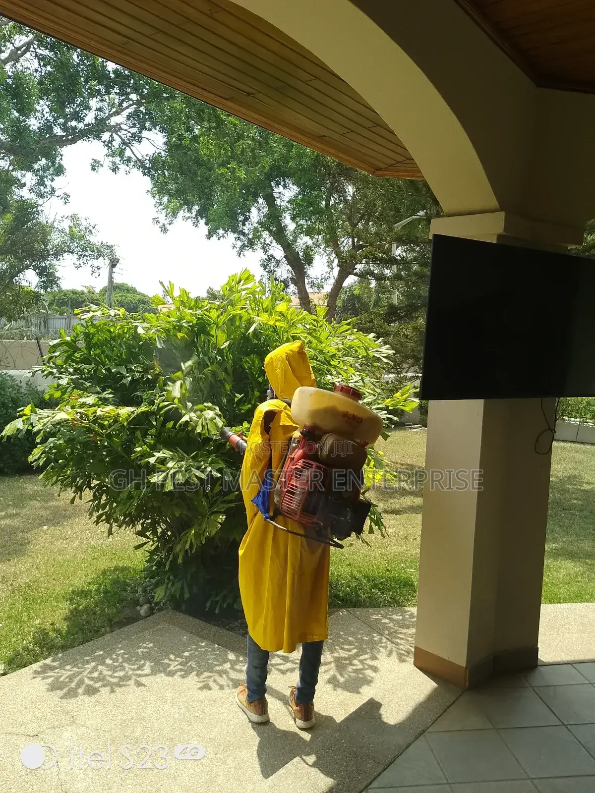 Fumigation Service Bedbugs,Cockroaches,Termites, Snake,