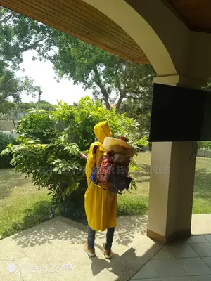 Fumigation Service Bedbugs,Cockroaches,Termites, Snake,
