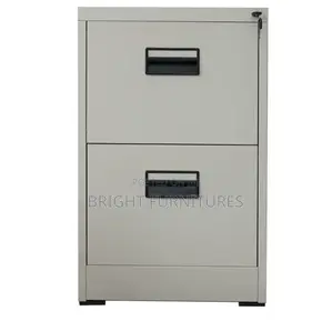 Modern Home Office 2 Drawer Vertical Metal Storage Cabinet