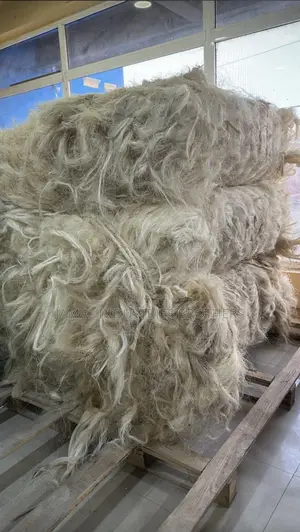 Fibre Long Pop Available