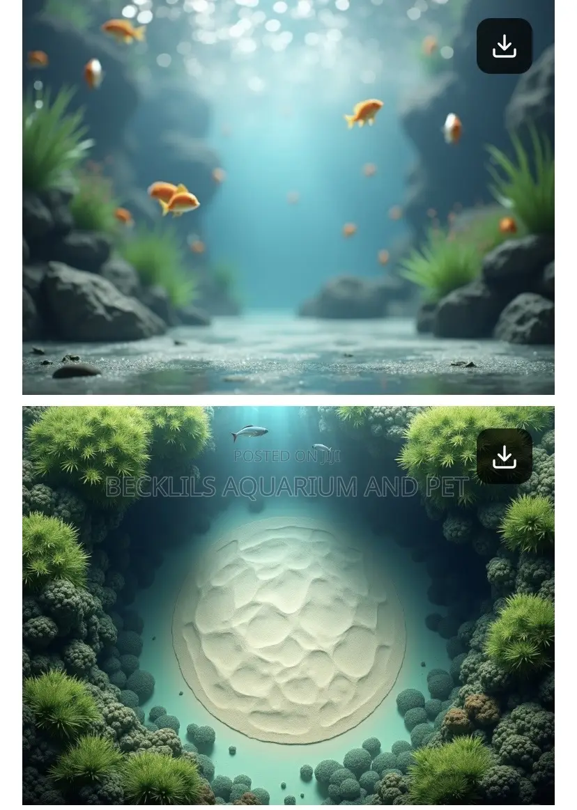 Aquarium Backgrounds
