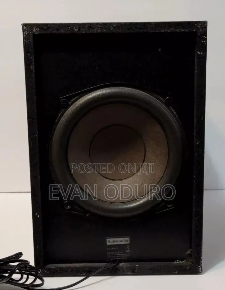 Powerful Philips Passive Subwoofer Double Magnet Bass