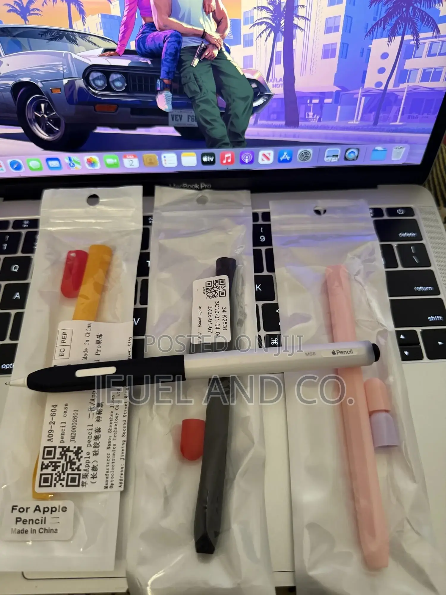Apple Pencil Case / Cover
