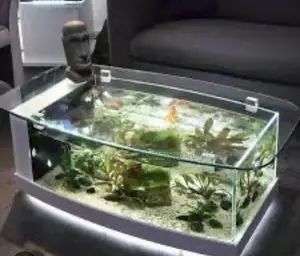 Tv Unit Aquarium