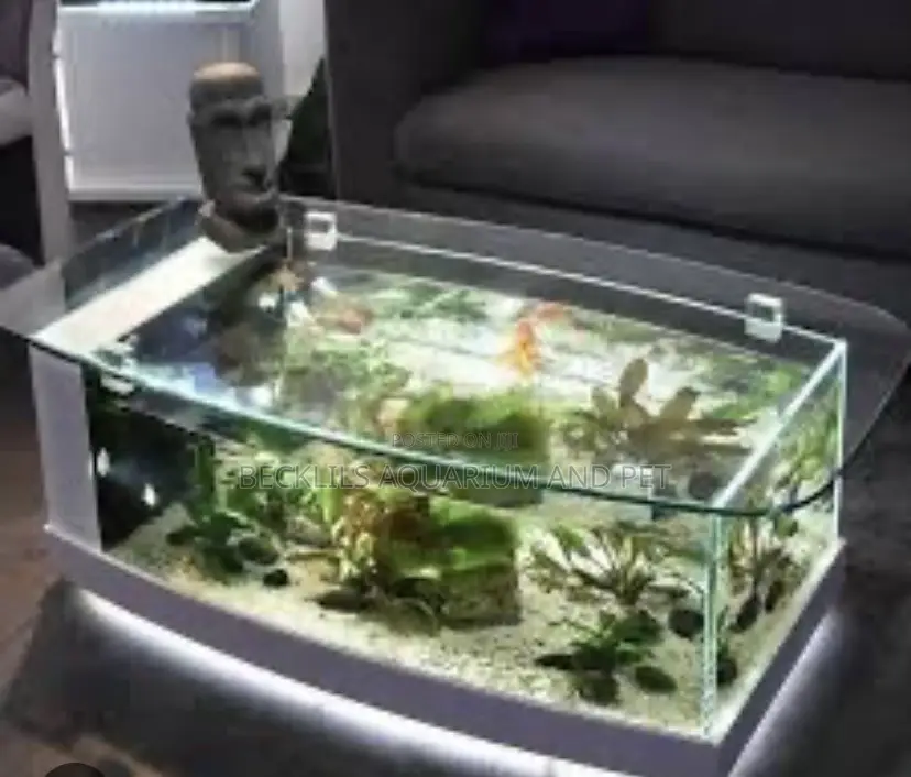 Tv Unit Aquarium