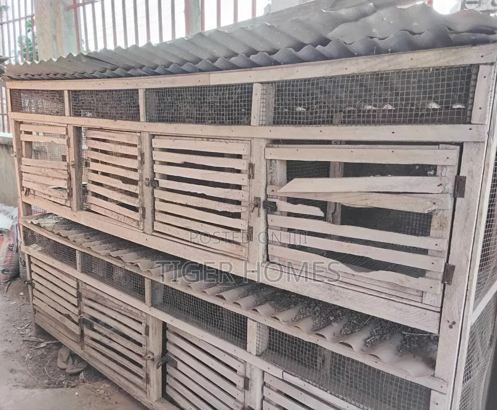 Rabbit Cage