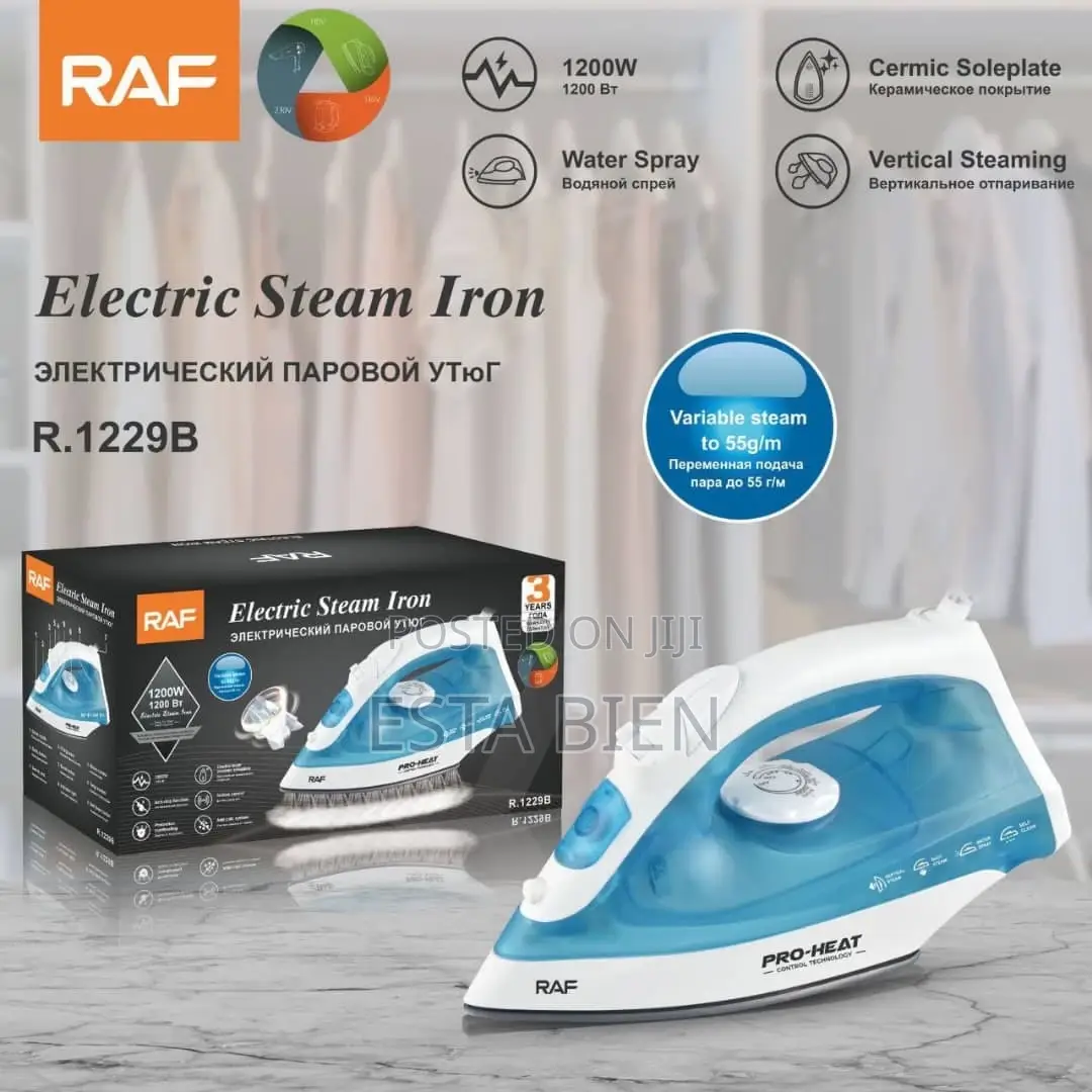 Electric Steam Iron